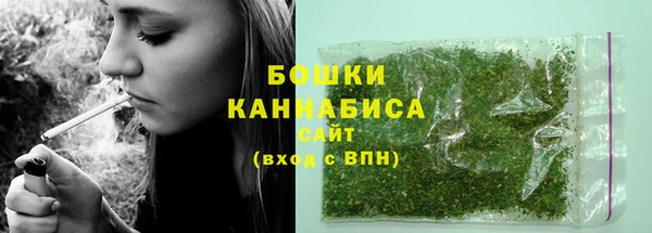 гашик Нея