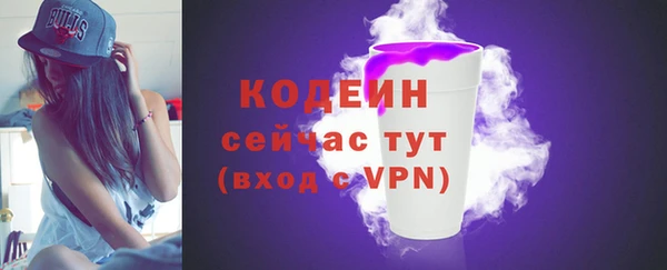 гашик Нея