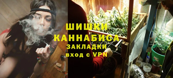 гашик Нея