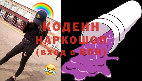 гашик Нея