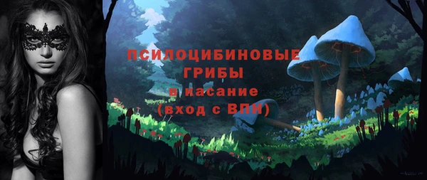 гашик Нея