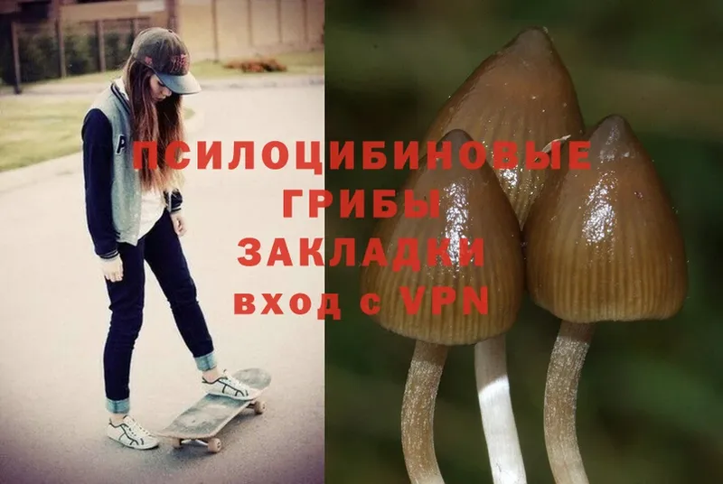 Псилоцибиновые грибы MAGIC MUSHROOMS  mega сайт  Нариманов 